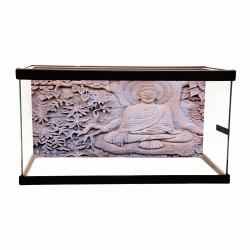 Buddha Wall Background Buddha Wall Background