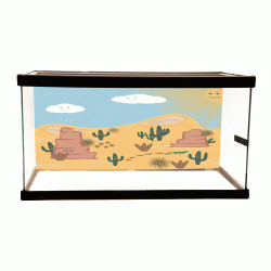 Desert Cartoon Background Desert Cartoon Background