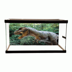 Dino 3 Background