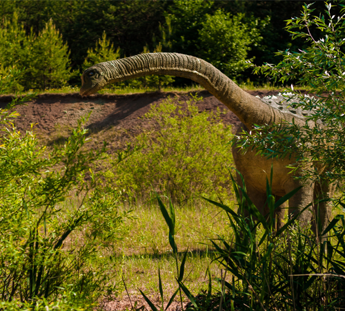 Dino 4 Background