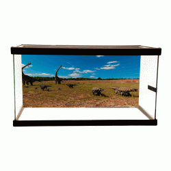 Dinosaur Background
