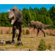 Dinosaur 2 Background