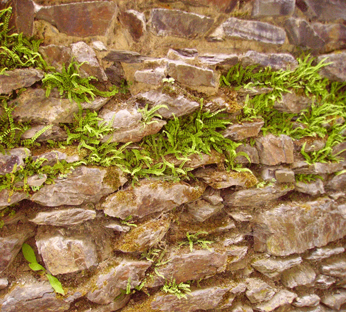 Stone Wall 10 Background