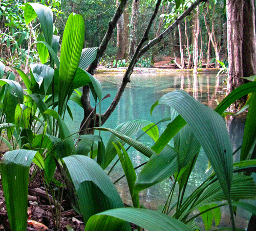 Creek 2 Background