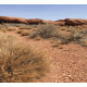 Pre-Sized Desert 21 Background
