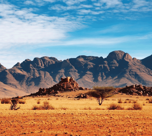 Desert 9 Background Desert 9 Background