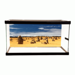 Desert Rocks Background