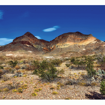 Desert Scene Background