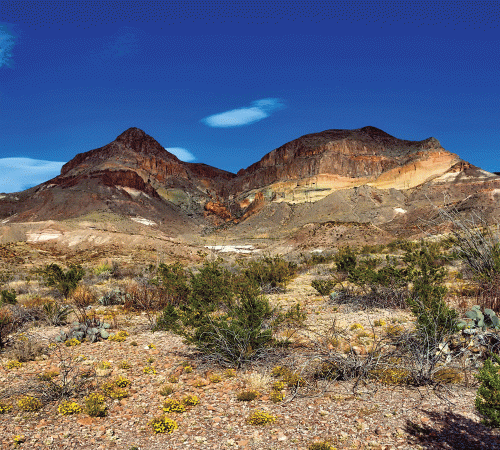 Desert Scene Background