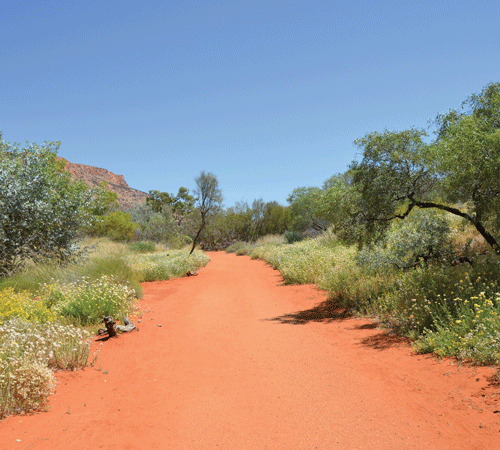 Desert Trail Background Desert Trail Background