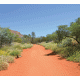 Desert Trail Background