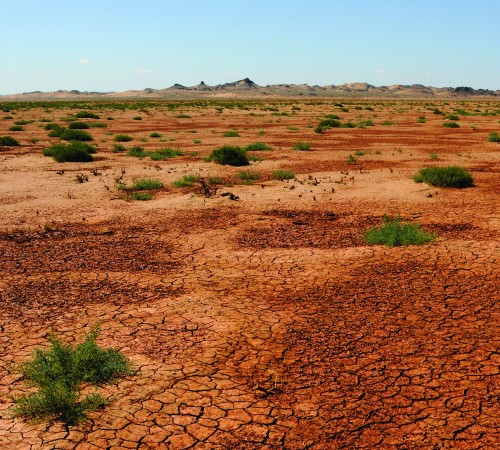 Dry Desert Background