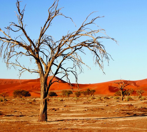 Red Desert Background