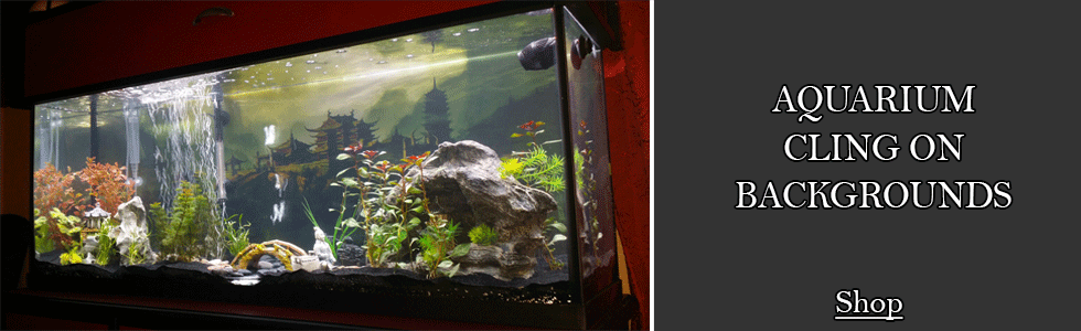 Petbackdrops Eye Catching Aquatic And Landscape Backgrounds For Aquariums And Reptile Enclosures
