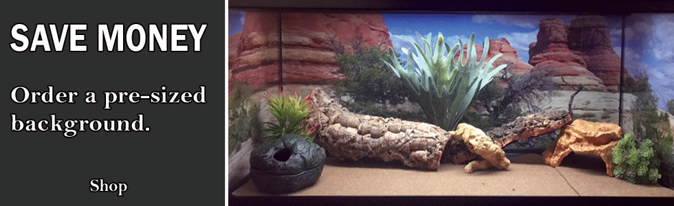 PetBackdrops | Eye catching aquatic and landscape backgrounds for aquariums  and reptile enclosures