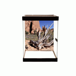 Pre-Sized Desert 12 Background Pre-Sized Desert 12 Background