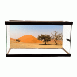 Desert 20 Background Desert 20 Background