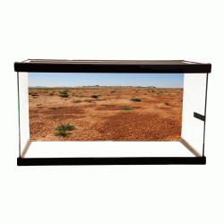 Dry Desert Background Dry Desert Background