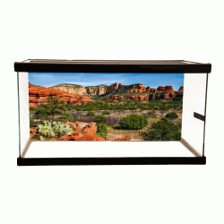 Red Rock Background Red Rock Background