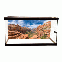 Zion Background