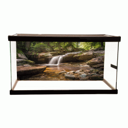 River Background