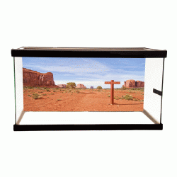 Road Closed Background