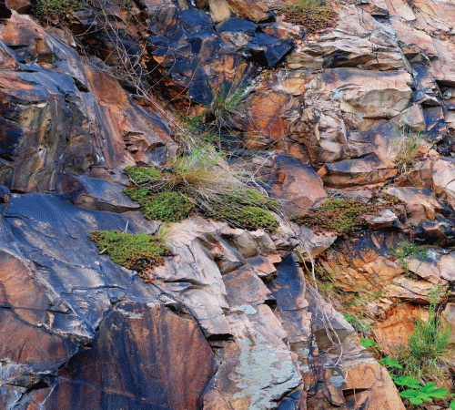 Rock Wall Background
