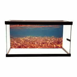 Sea Flora Cling-On Aquarium Background Sea Flora Cling-On Aquarium Background