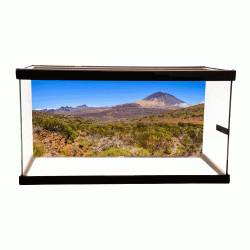 Teide National Park Background