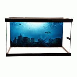 Under Water City Cling On Aquarium Background