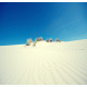 White Desert 2 Scene