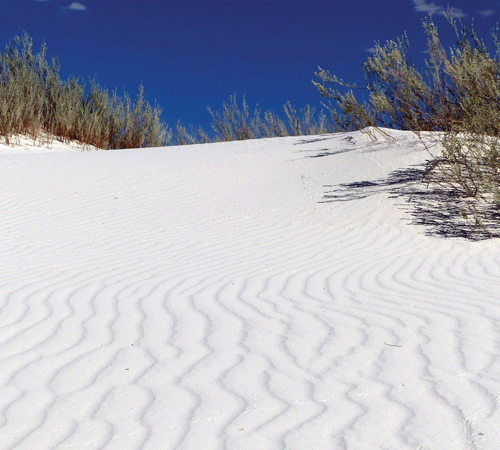 White Desert Scene