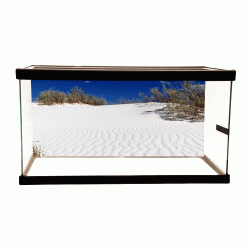 White Desert Scene